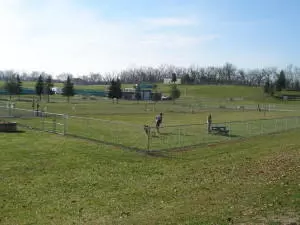 Canal Fulton Dog Park